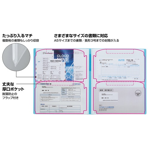 領収書&明細ファイル(固定式)ノビータ24P 青