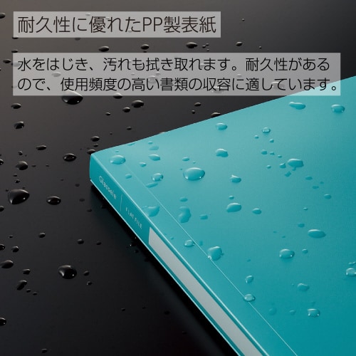 PPフラットファイルグラッセル A4 W 5冊