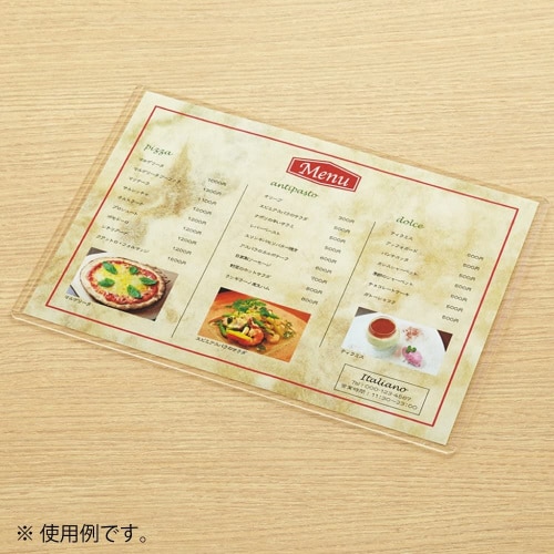 カードケース(環境対応)硬質A2