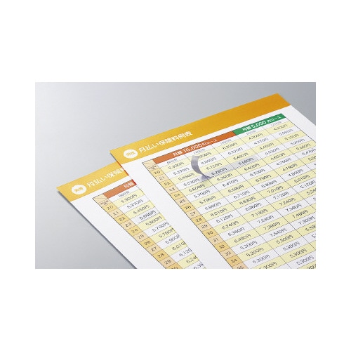 紙ラベル(下地がかくせるタイプ) 46面 20枚