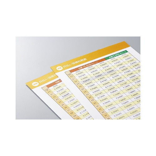 紙ラベル(下地がかくせるタイプ) 46面 20枚