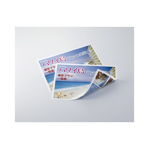 カラーレーザー&コピー(両面・光沢)A4 25枚