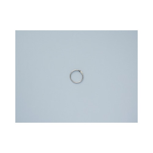 カ−ドリング 2号(内径30mm)