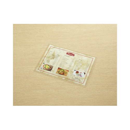 カードケース(環境対応)硬質A4