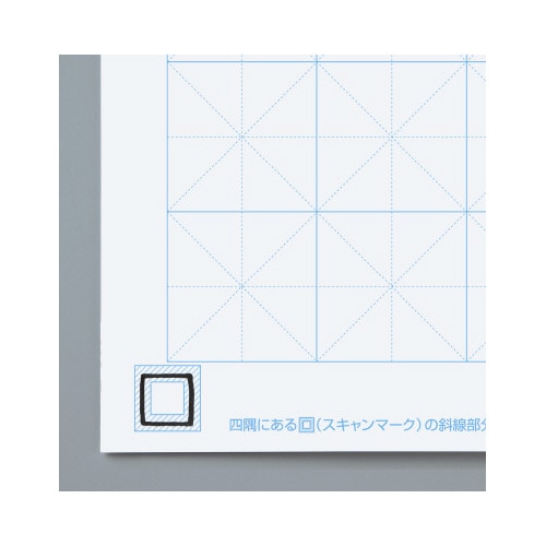 セクションパッド A1 50mm方眼 50枚入
