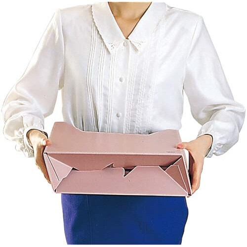 ファイルボックス Hタイプ PP A4横 灰