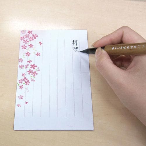 天然竹筆ペンAK2000MP紋竹/透明ケース入