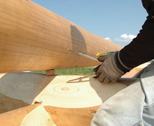 ダブルスクライバー きこり ログ用