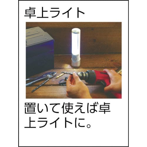 ライテックス 懐中電灯付LEDセンサースリム