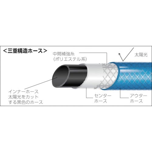 \z[X