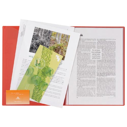 クリヤーホルダー アドワン A4−S 30P 緑