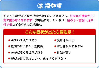 �q���΍􁕏����΍�b��p�p�i