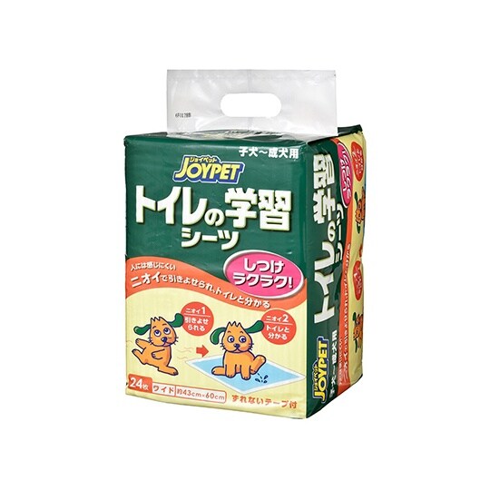 inxods@gC̊wKV[c@Ch