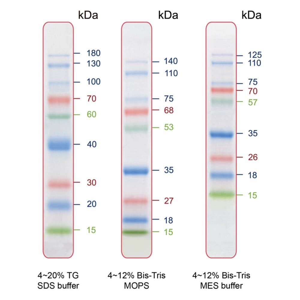 yⓀzFς݃^pN_[}[J[@olO