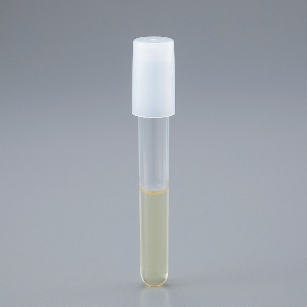 y①zǐ|n@POOOOU@dDb