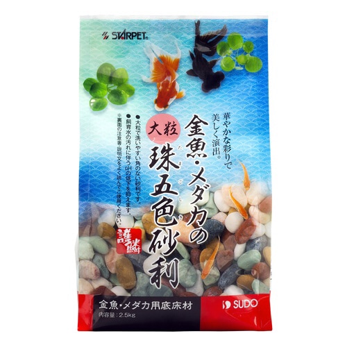 E_J̑嗱ܐF