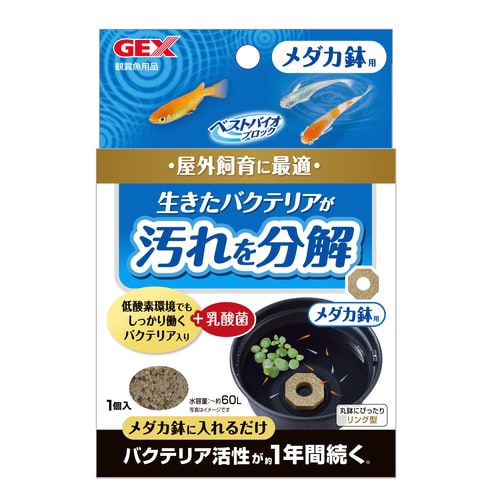 xXgoCIubN_Jp