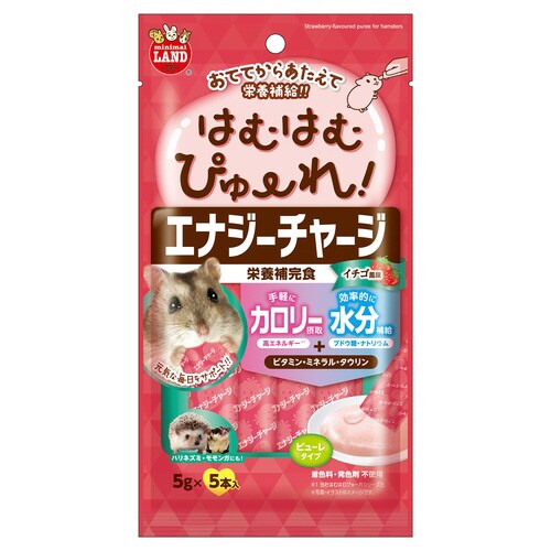 ͂ނ͂ނ҂[@GiW[`[W@C`
