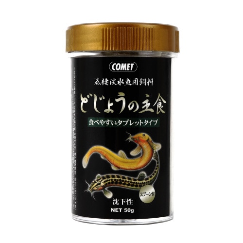 ǂ傤̎H