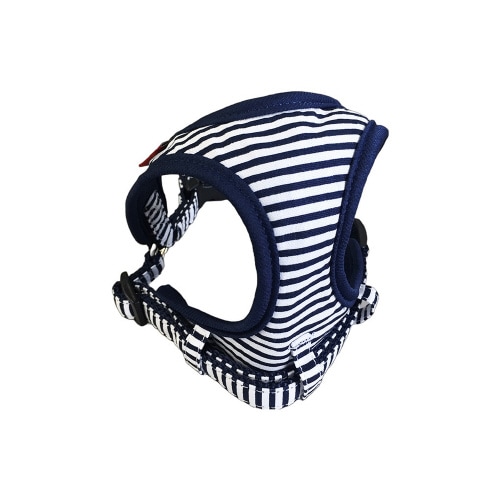 lQXVRa}CX^[\teBn[lXR