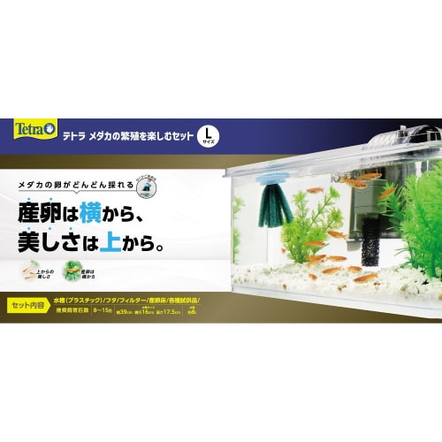 eg@_J̔ɐByރZbg