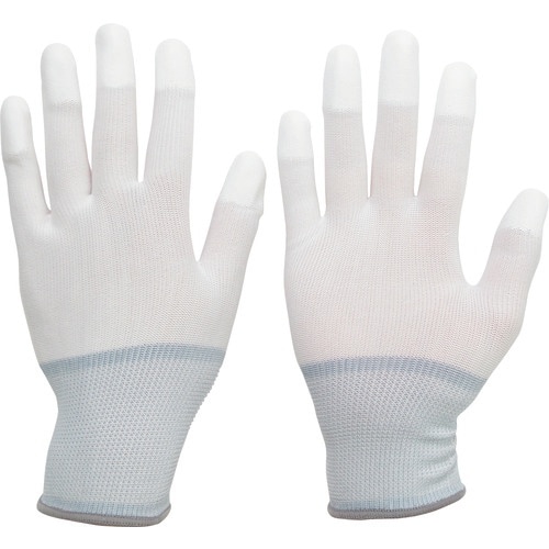 ~hS@|GXe܁@iwR[gj@ro