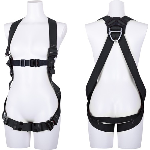 srtxnqnm@n[lX@n[lX{̂̂݁@