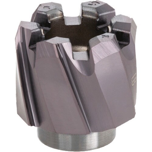 ^KC@[E}CX^[@ђʌp˂a