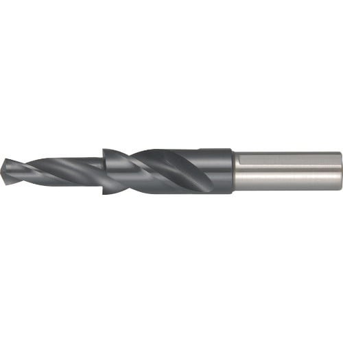 sgdbts@ht߃tCX@Lbv{g