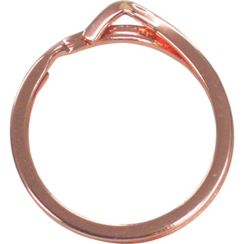 jnmsdb@w܂ɂ₳L[O@O