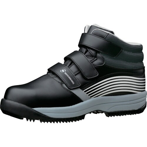 ~hS@ȈՖh@hƌC@lor|PTT@