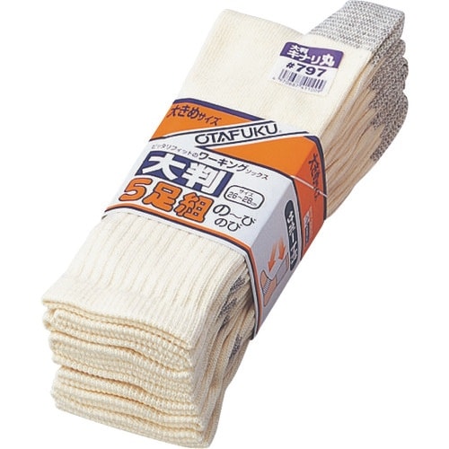 ӂ@VXV@̂сT唻@Liہ@Tg