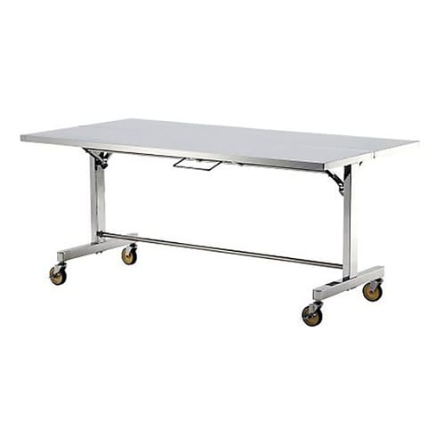 �X�e�����X��Ƒ�