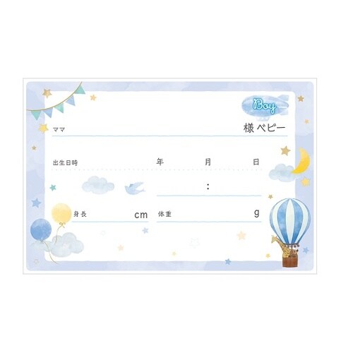 ベビーネームカード 100枚入