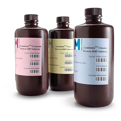 vakteOPOO@ktlhm`s`@e