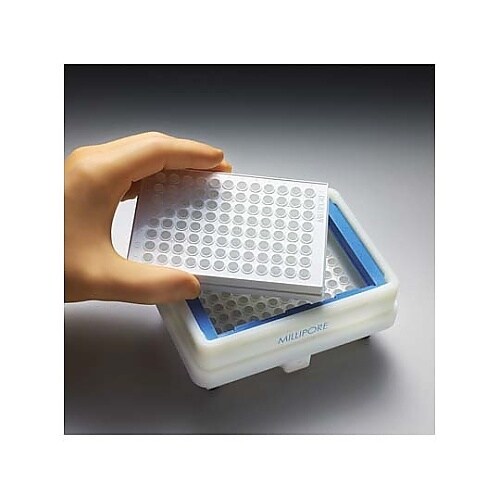 lrulgsrOO@ltkshrbqdd