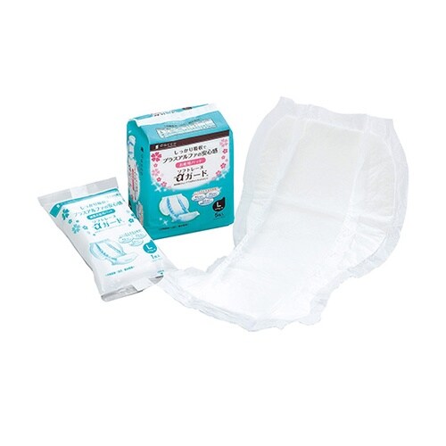 WRTPT@ŋۃ\tg[kK[h@k