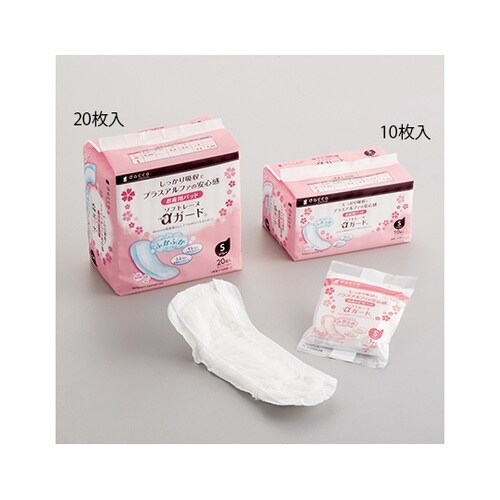 WRTQQ@ŋۃ\tg[kK[h@r