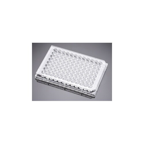 プライマリア 24ウェル マルチウェルプ