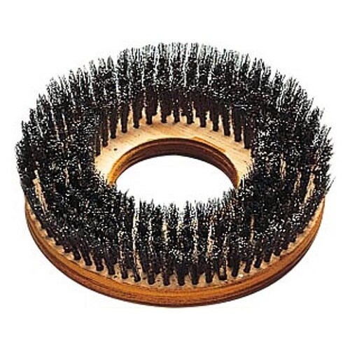 ���C���[�u���V�P�Q�h