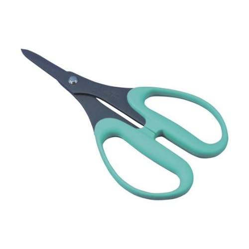 zr[p͂݁@tbf{MUn@PTPR