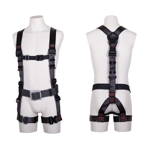 򉍃n[lX@n[lX{̂̂݁@xg