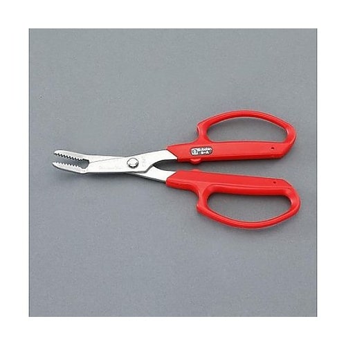 �G�������i�X�e�����X���j