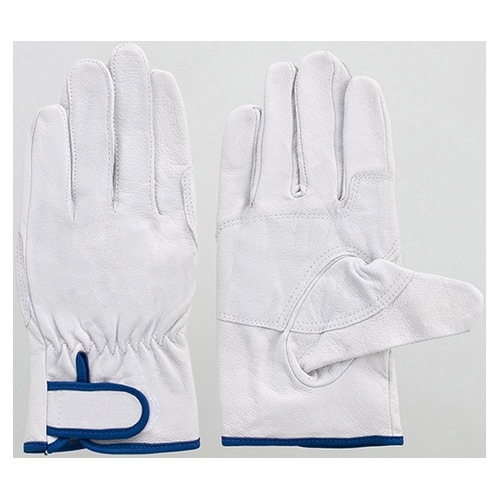 TXWR@ؔ@Aet܁@Rog@kk