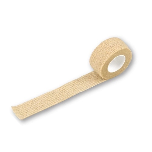 OQPTOV@s^bƃ^CQDT@PO