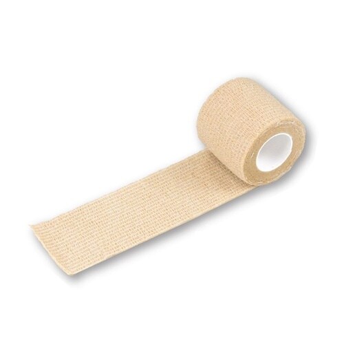 OQPTOW@s^bƃ^C@TDO@U