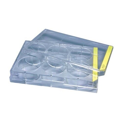 �זE�|�{�v���[�g