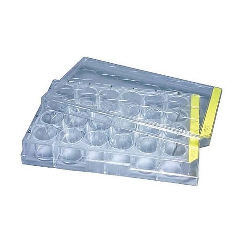 �זE�|�{�v���[�g�@�Q�S��������