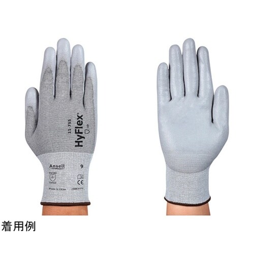 ϐؑn܁@nCtbNX@rTCY@P