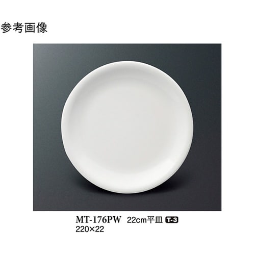 22cm 平皿 パルホワイト